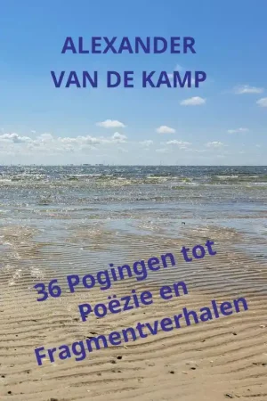 36 Pogingen tot Poëzie en Fragmentverhalen / Druk 1 Direct Beschikbaar