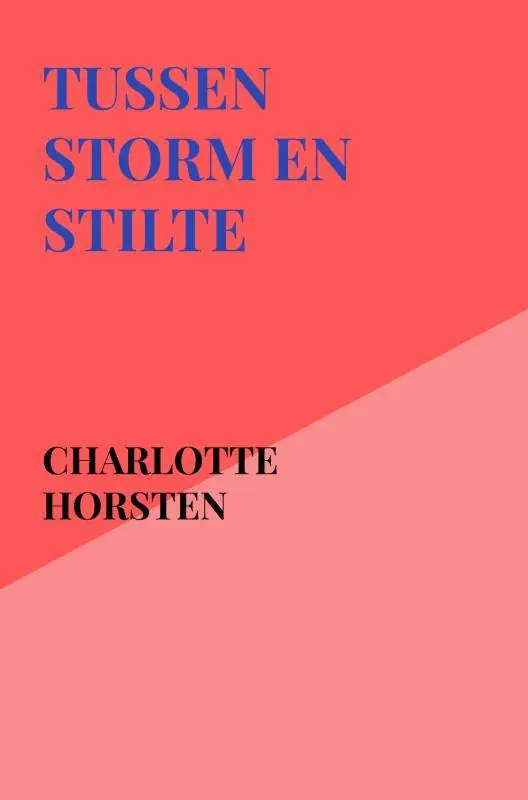 Nu Kopen Tussen Storm en Stilte / Druk 1