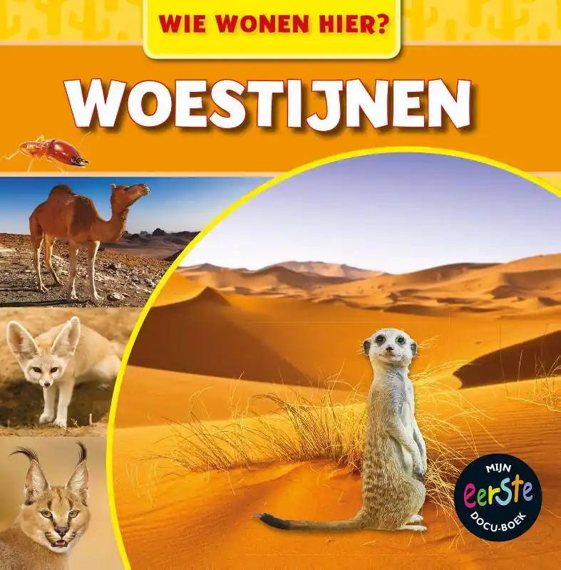 Woestijnen / Druk 1 Koopje