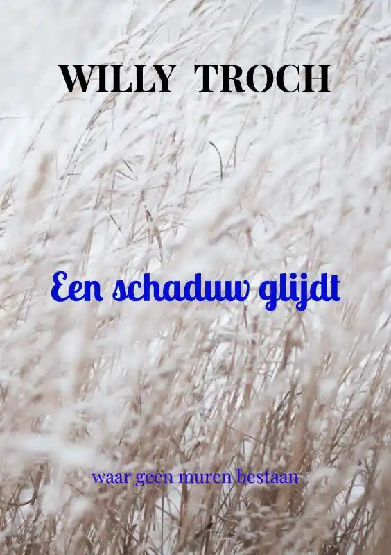 Een schaduw glijdt / Druk 1 Populair