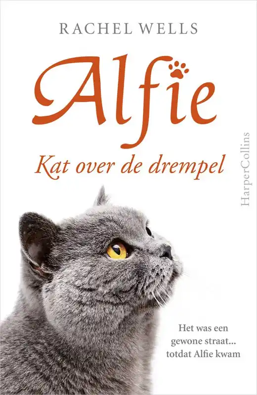 Flitsaanbieding Kat over de drempel