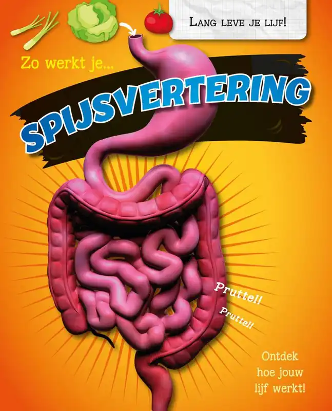 Zo werkt je spijsvertering / Druk 1 Veilige Betaling