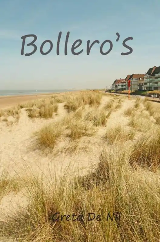 Bollero's / Druk 1 Rechtstreeks Van De Fabrikant
