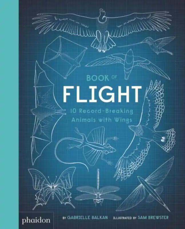 Book of Flight Koop Online