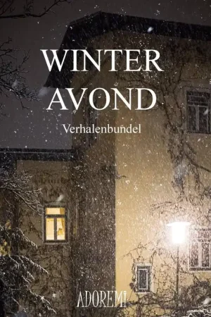 Winteravond / Druk 1 Gereduceerde Prijs