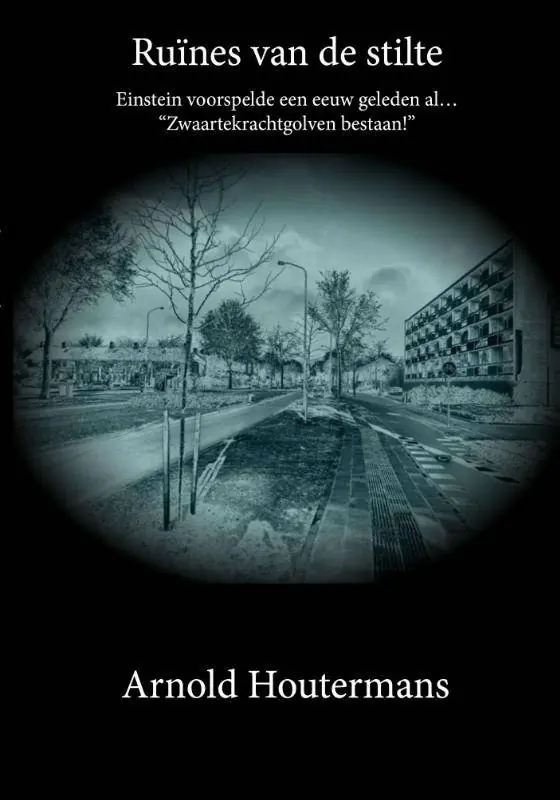 Ruïnes van de stilte / Druk 1 Koop Online
