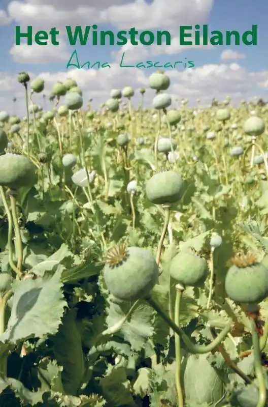 Het Winston Eiland / Druk 2 Koop Vandaag