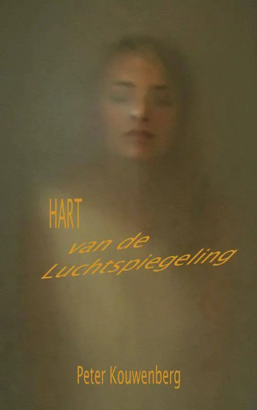 Fabrieksprijs Hart van de Luchtspiegeling / Druk 4