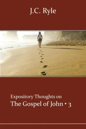 Beste Prijs John 3 / 1st Edition