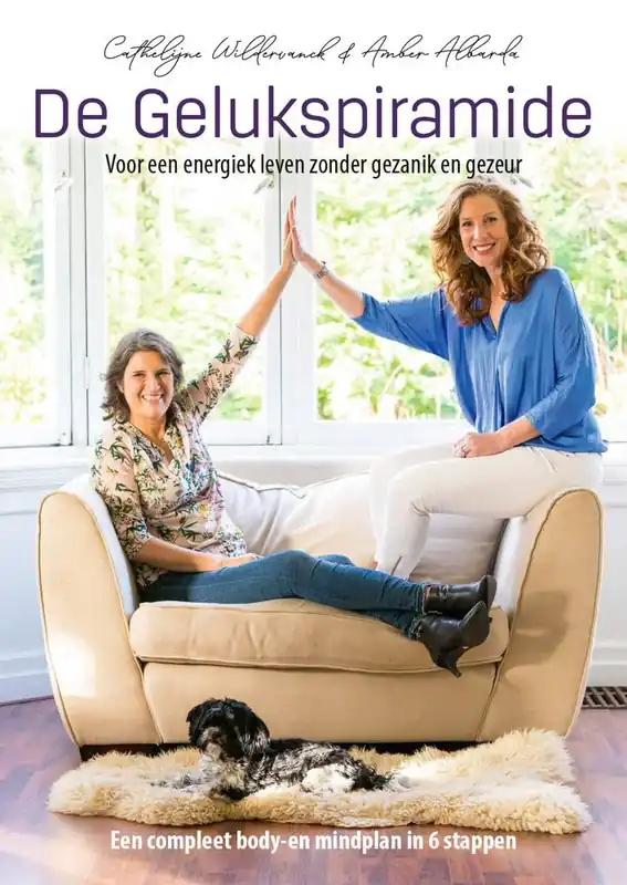 Lage Kosten De Gelukspiramide / Druk 1