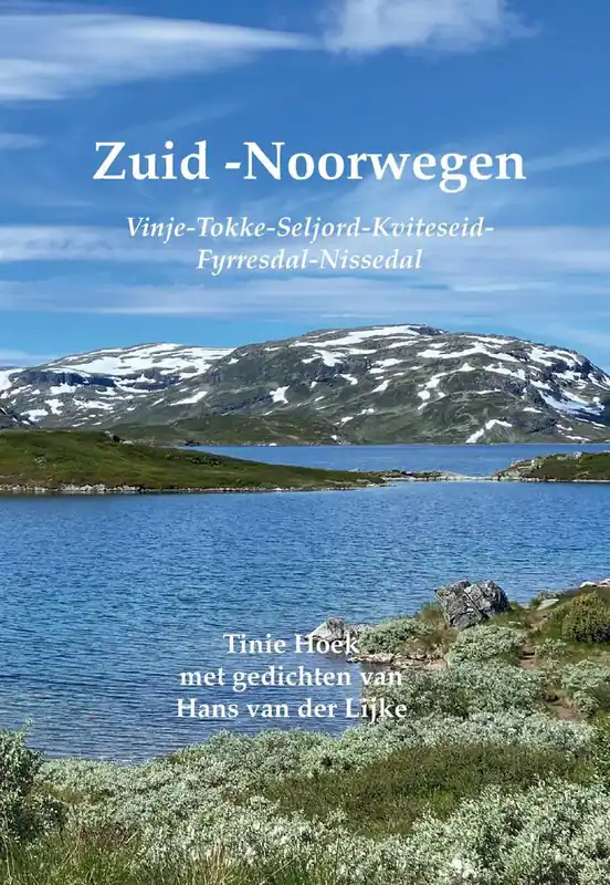 Koop Vandaag Zuid-Noorwegen / Druk 1