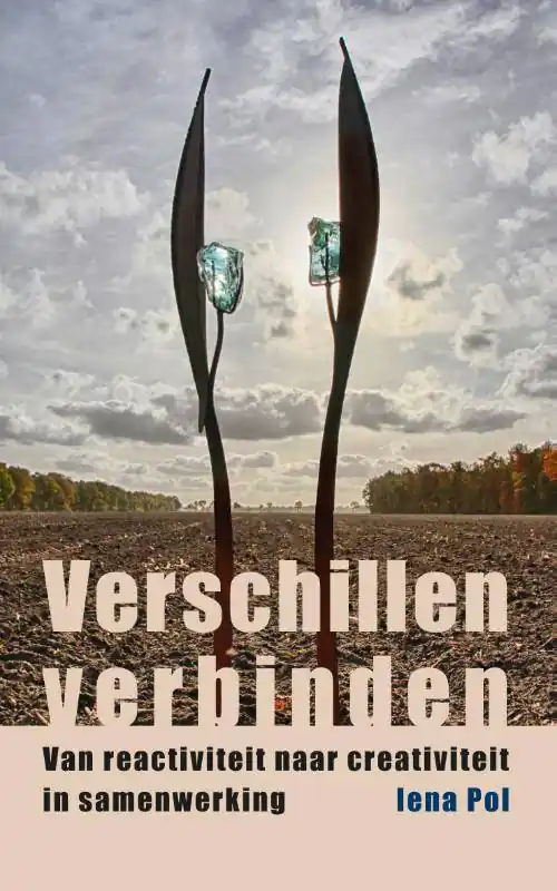 Verschillen verbinden / Druk 2 Finale Uitverkoop