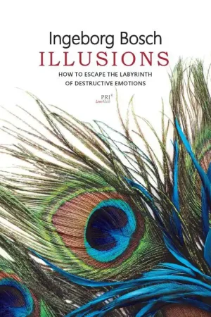 Betrouwbaar Illusions / 1st Edition