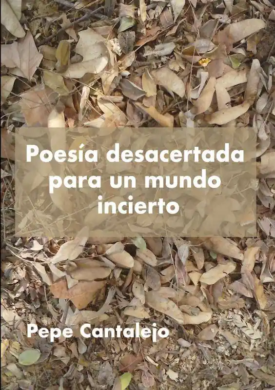 Beste Prijs Poesía desacertada para un mundo incierto / 1 Edition