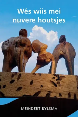 Wês wiis mei nuvere houtsjes / 1 Edition Snelle Levering