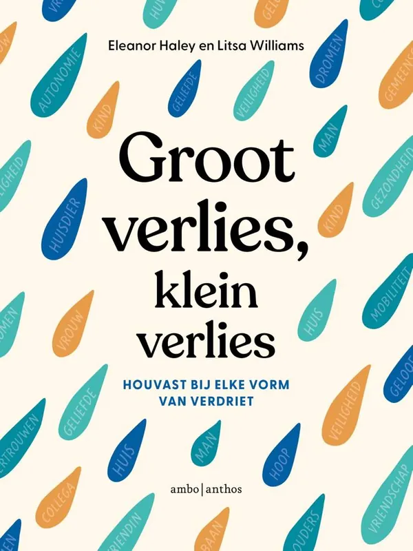 Groot verlies, klein verlies / Druk 1 Seizoensaanbieding