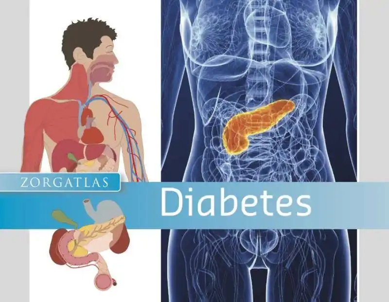 Hoge Kwaliteit Diabetes / Druk 1