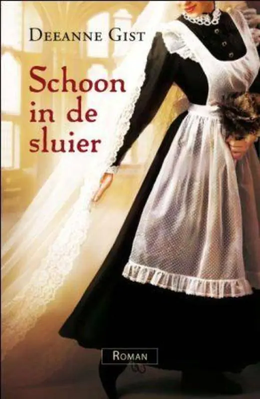 Schoon in de sluier / Druk 2 Veilige Betaling