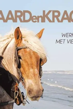 Aanbieding Paardenkracht / Druk 1