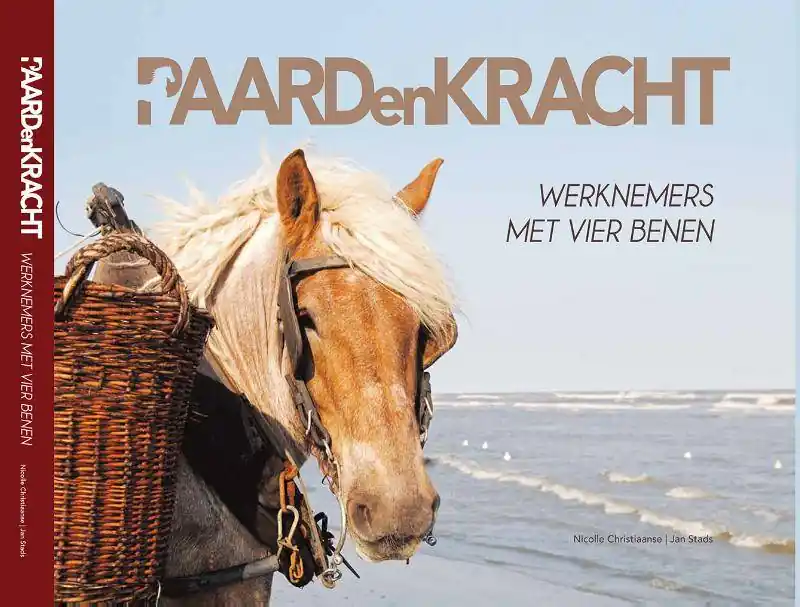 Aanbieding Paardenkracht / Druk 1