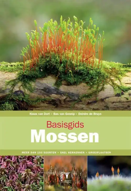 Betaalbaar Basisgids mossen / Druk 7