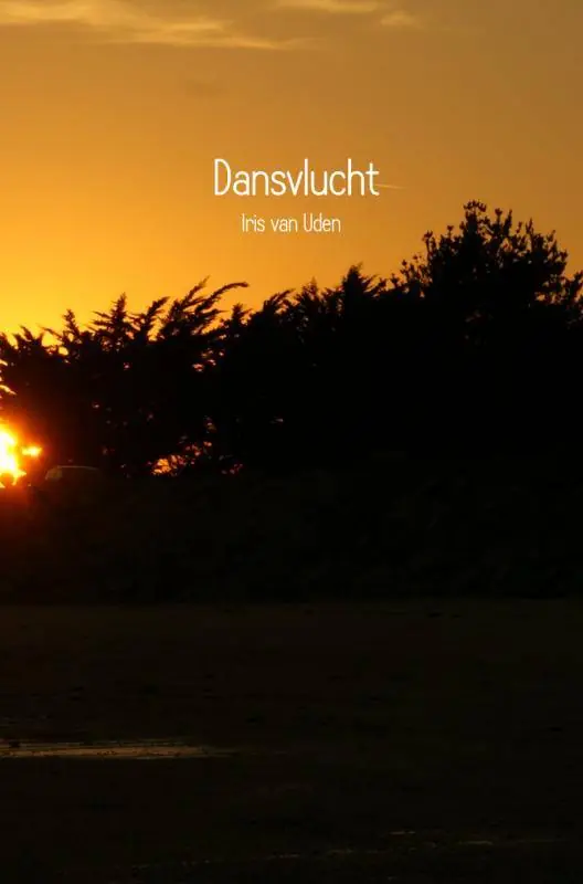 Bestseller Dansvlucht / Druk 2