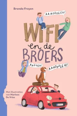 Wifi en de broers / Druk 1 Veilige Betaling