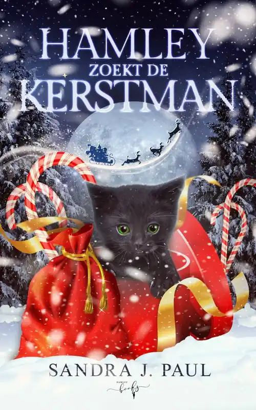 Meest Verkocht Hamley zoekt de Kerstman / Druk 1