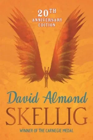 Aanbieding Skellig