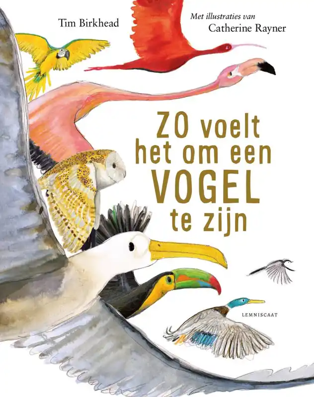 Express Levering Zo voelt het om een vogel te zijn / Druk 1