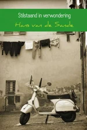 Uitverkoop Stilstaand in verwondering / Druk 1