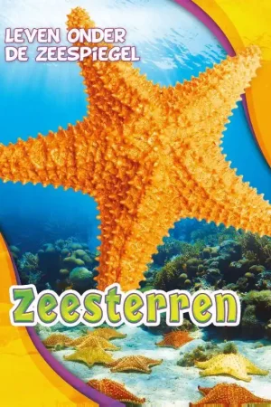 Zeesterren / Druk 1 Bestel Nu