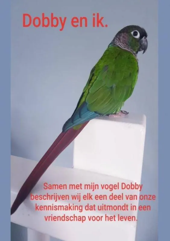 Seizoensaanbieding Dobby en ik. / Druk 1