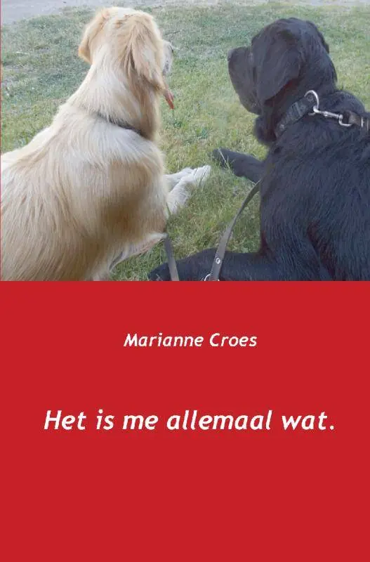Het is me allemaal wat / Druk 1 Rechtstreeks Van De Fabrikant