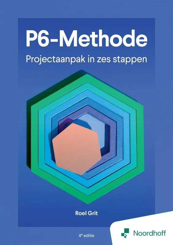 Projectaanpak in zes stappen / Druk 4 Tijdelijk Beschikbaar