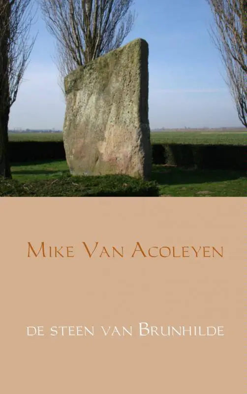De steen van Brunhilde / Druk 1 Beperkt Aanbod