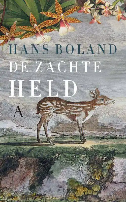 Direct Beschikbaar De zachte held / Druk 1
