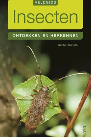 Beste Prijs Insecten / Druk 1