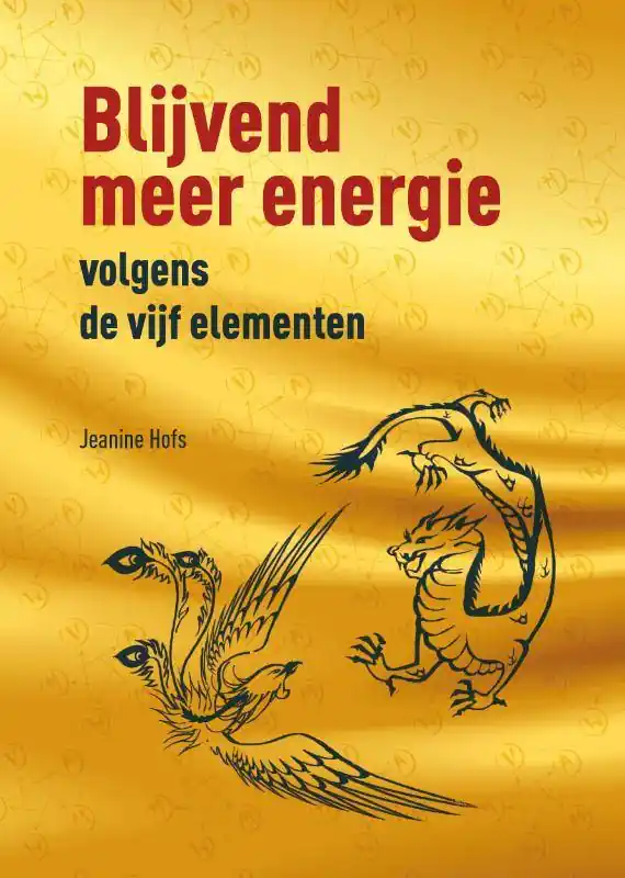 Blijvend meer energie volgens de vijf elementen / Druk 6 Laatste Versie