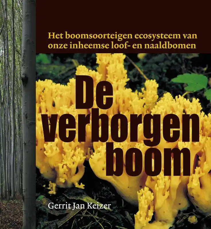 De verborgen boom / Druk 3 Premium