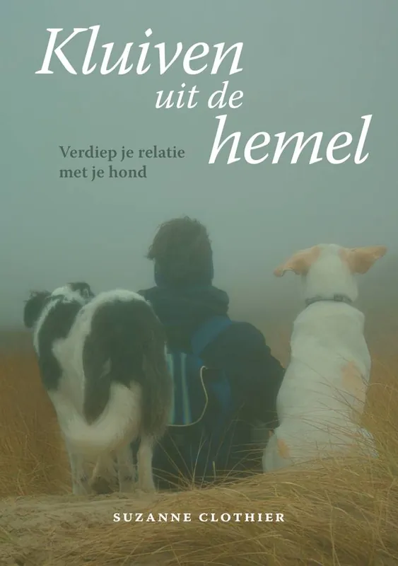 Kluiven uit de hemel / Druk 1 Snelle Levering