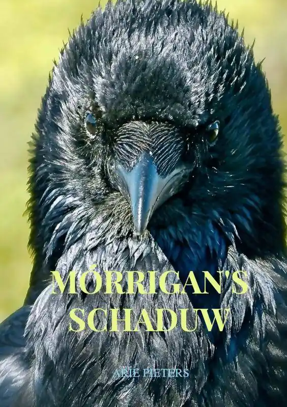 Koopje Mórrigan's schaduw / Druk 1