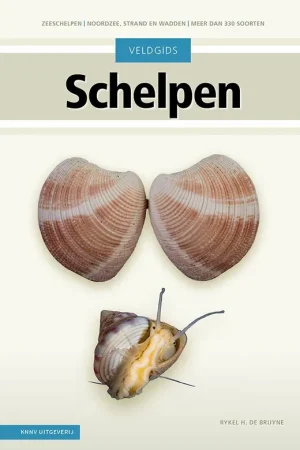 Veldgids Schelpen / Druk 4 Uitverkoop