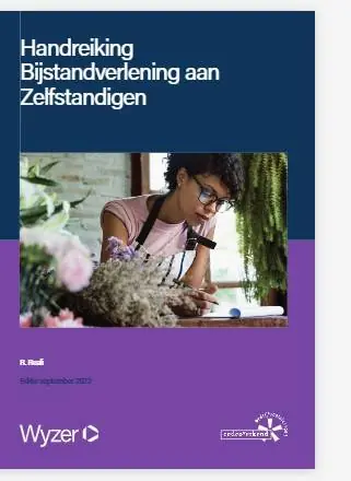 Handreiking Bijstandverlening aan Zelfstandigen / Druk 9 Lage Prijs