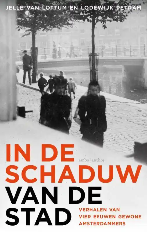 In de schaduw van de stad / Druk 1 Betaalbaar