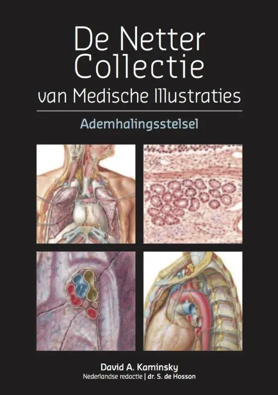 De Netter collectie Ademhalingsstelsel / Druk 1 Koopje