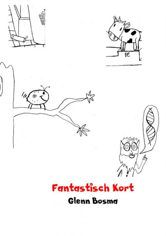 Koop Online Fantastisch kort / Druk 2