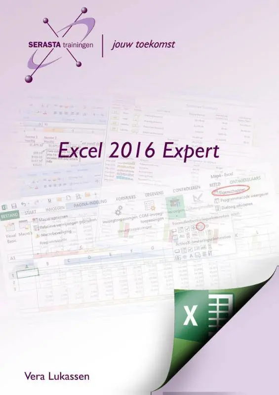 Snelle Levering Excel Expert 2016 / Druk 1