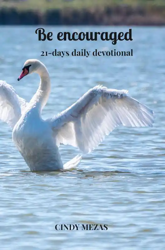 Voordeelprijs Be encouraged / 2nd Edition