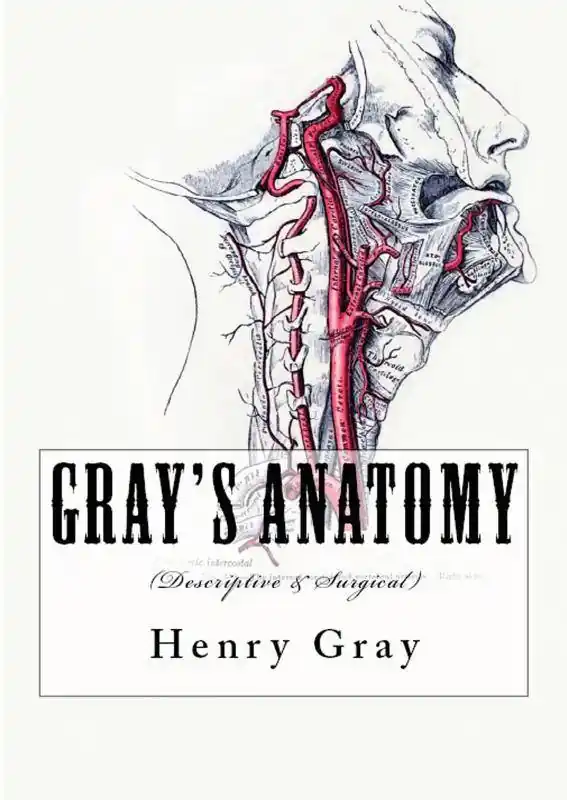 Express Levering Gray's Anatomy / 1st Edition